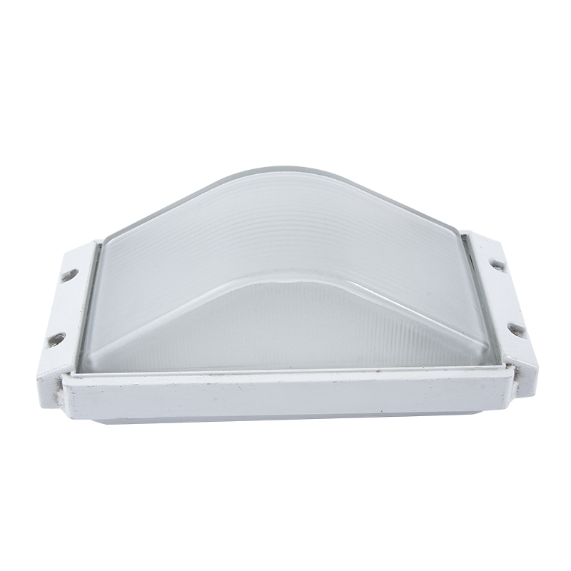 Moisture proof light