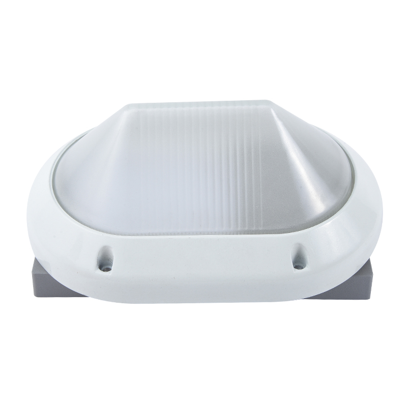 Moisture proof light