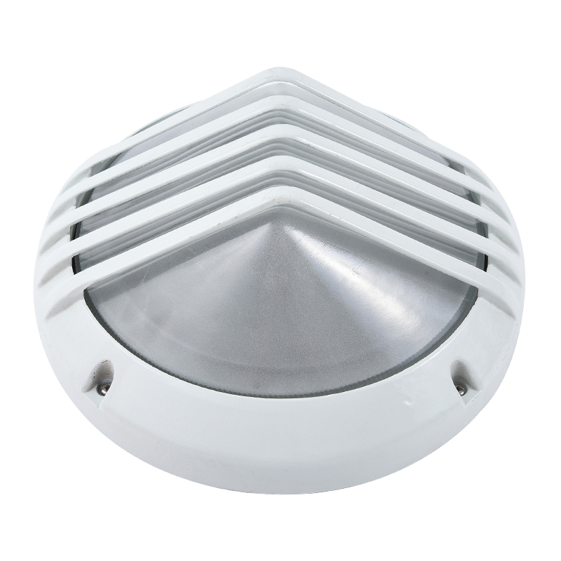 Moisture proof light