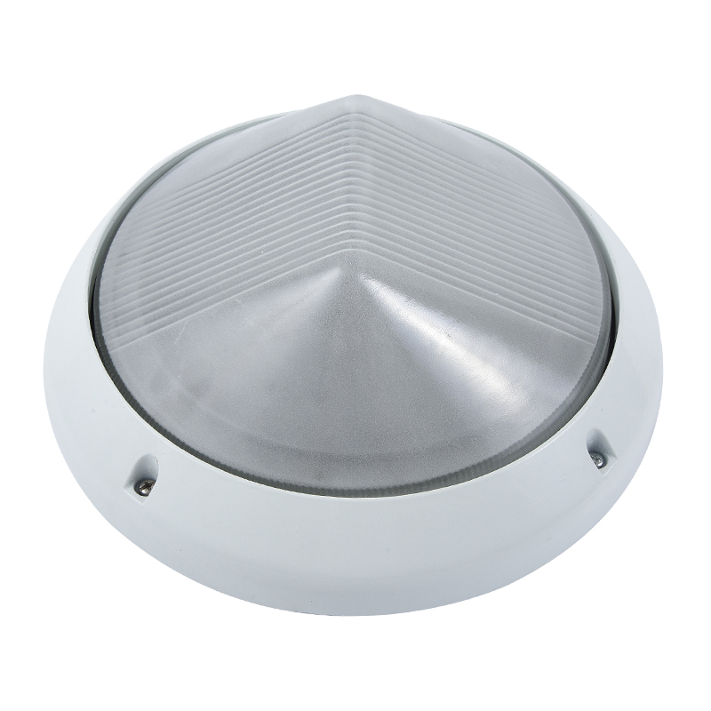 Moisture proof light