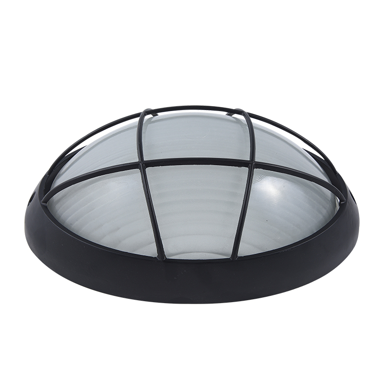 Moisture proof light