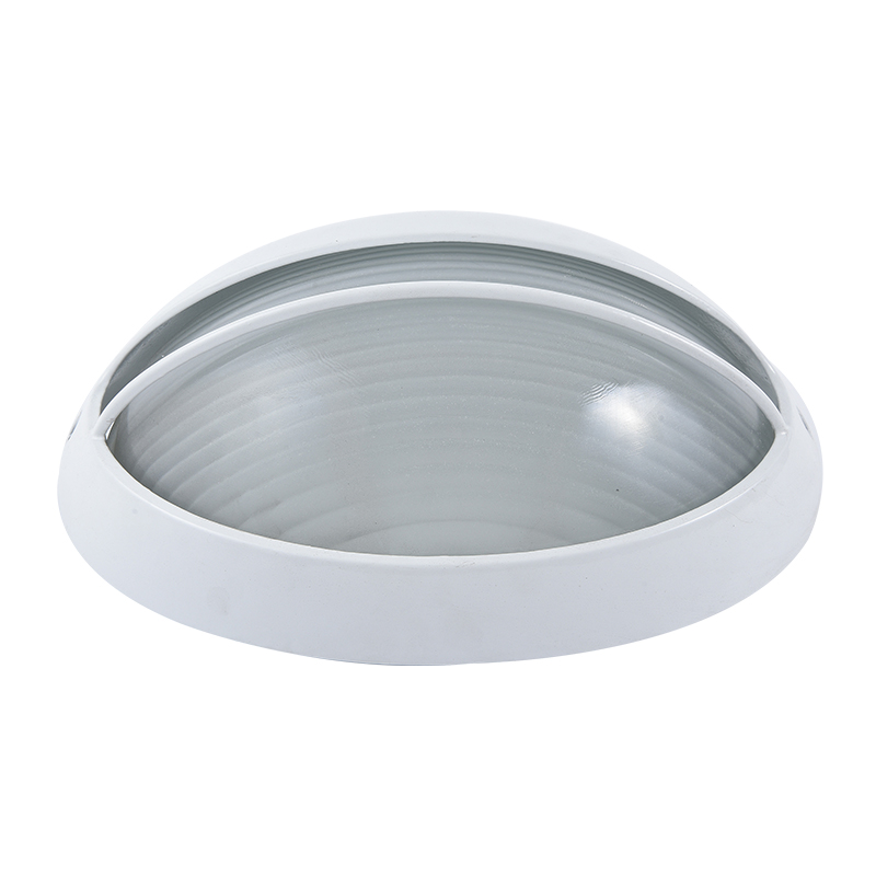 Moisture proof light