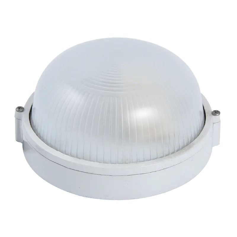 Moisture proof lights